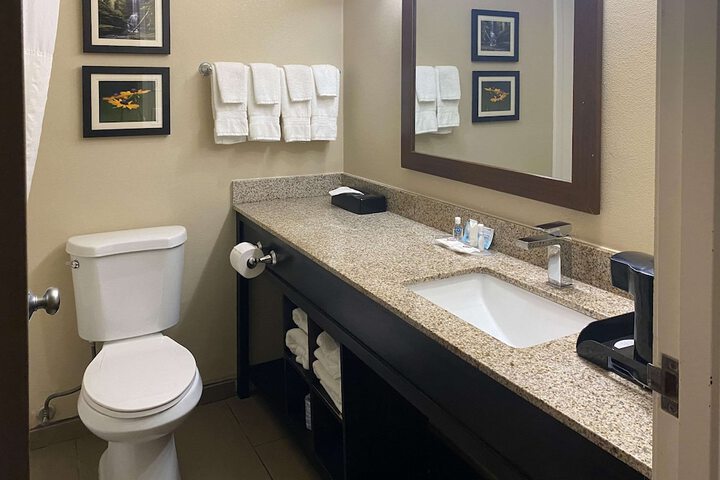 1 Queen Bed Suite Accessible (3 of 24)