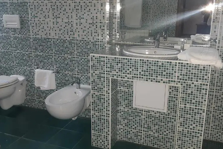 Vila Vlad