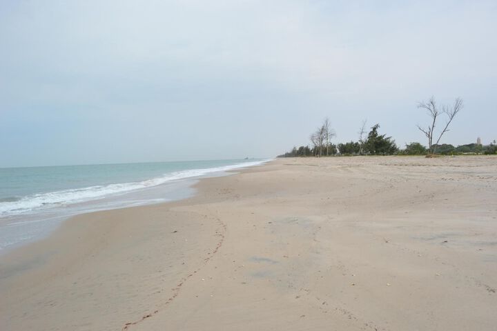 Beach 51 of 62