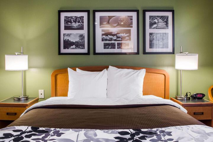 Queen Bed Accessible (4 of 7)