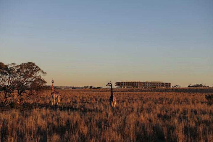 Hotel 55 of 62