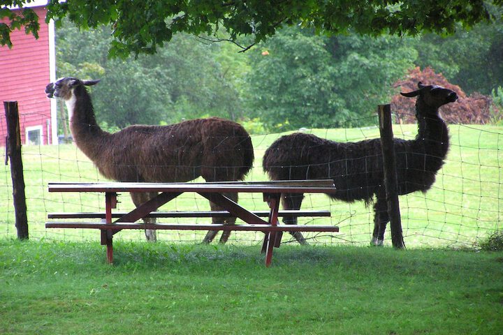 Property Grounds 152 of 191