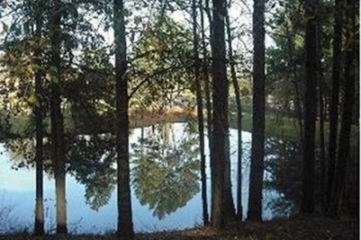 Property Grounds 20 of 23