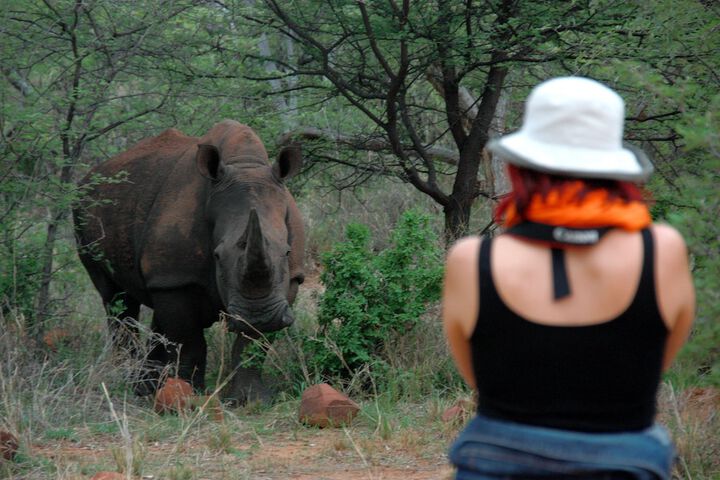 Game drive