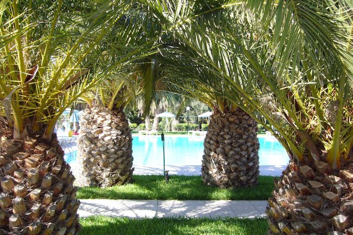 Hotel Pool