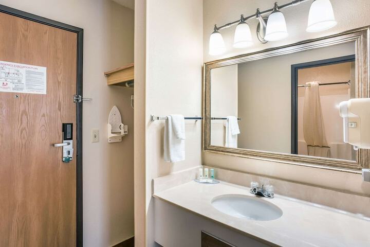 1 King Bed Business Room (4 of 15)