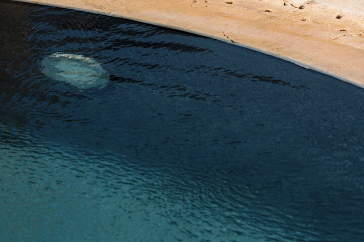 Pool 76 of 187