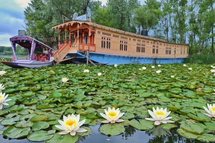 Photo of New Bul Bul Houseboat Dal Lake