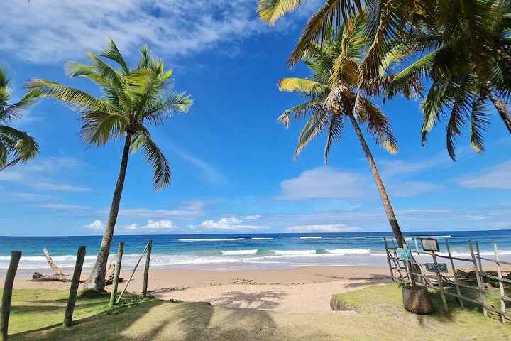 Beach 17 of 20