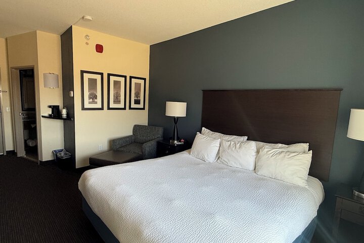 1 King Bed (1 of 28)