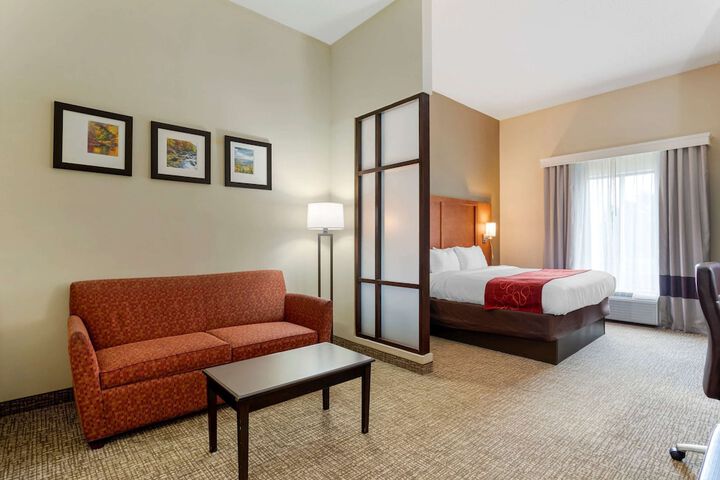 1 King Bed Suite (1 of 14)