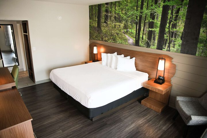 1 King Bed Theme Room Work Desk Coffee Maker Iron and Ironing Board Walk in Shower (2 of 9)