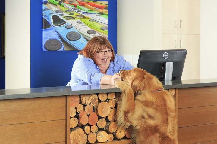 Pet Friendly 44 of 60