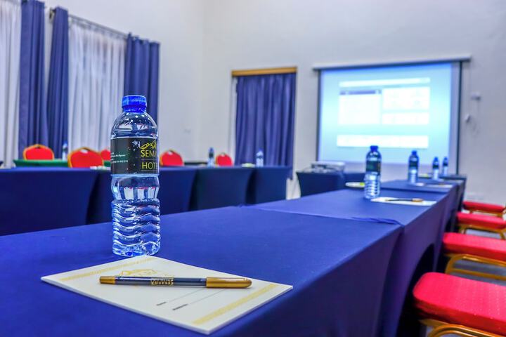 Meeting 17 of 19