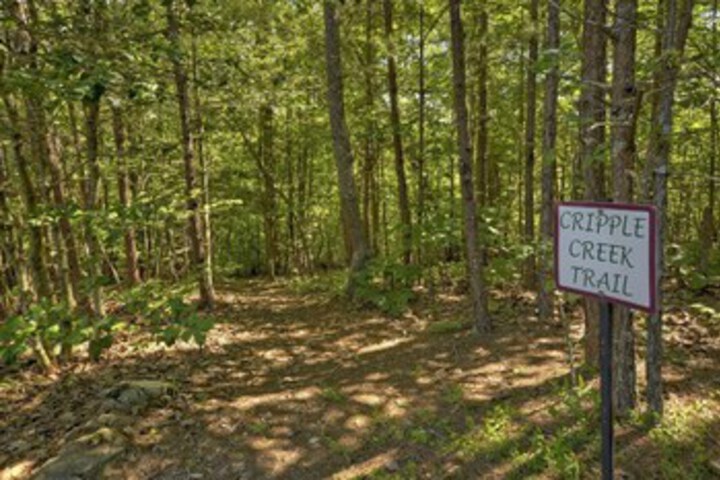 Property Grounds 48 of 56