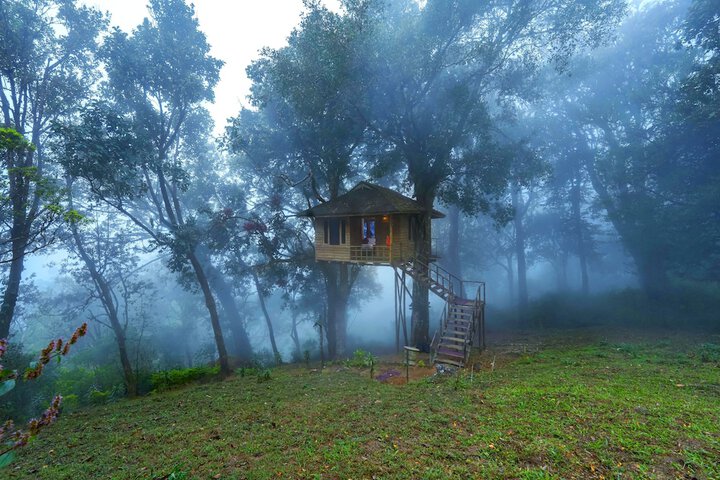 Image of Nature Zone Jungle Resort