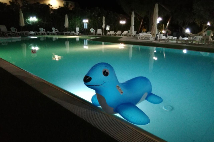 Pool 9 of 15