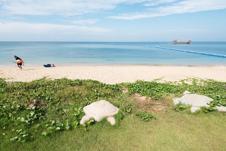 Beach 123 of 141