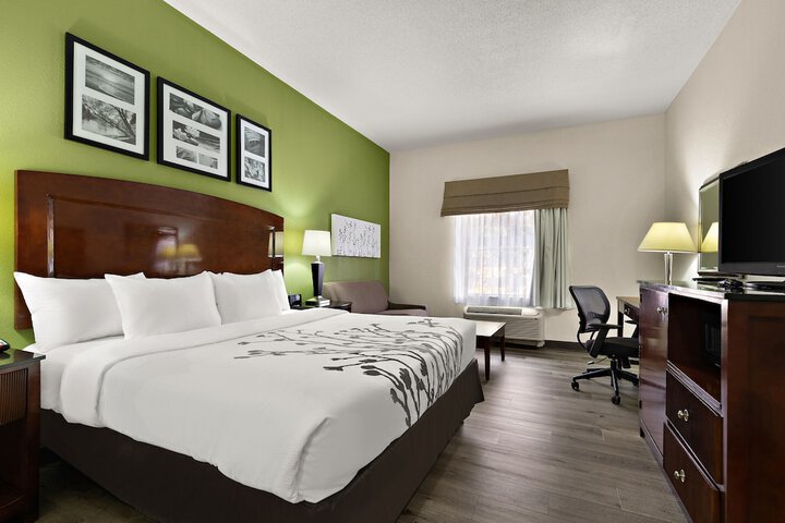 1 King Bed (15 of 19)