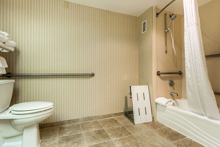 1 Queen Bed Accessible (10 of 14)