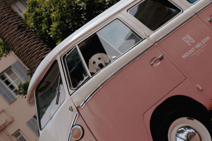 Pet Friendly 140 of 183