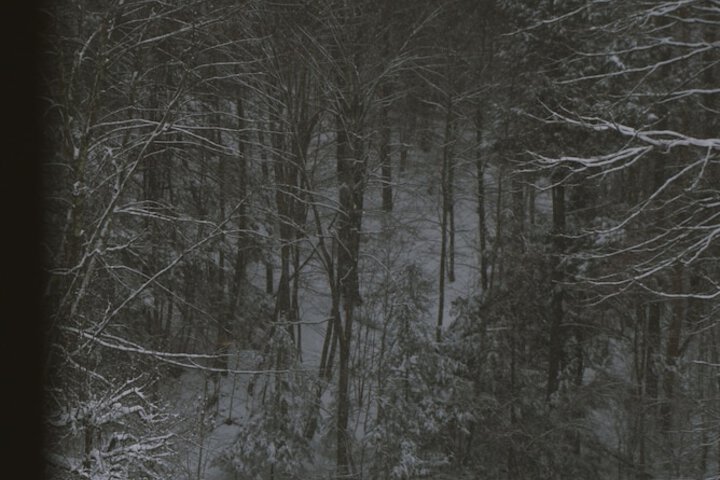 Property Grounds 31 of 35