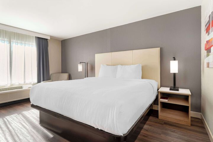 1 King Bed Exterior Accessible Microwave and Refrigerator Full Breakfast (4 of 10)