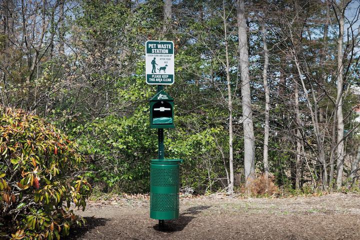 Pet-friendly amenities