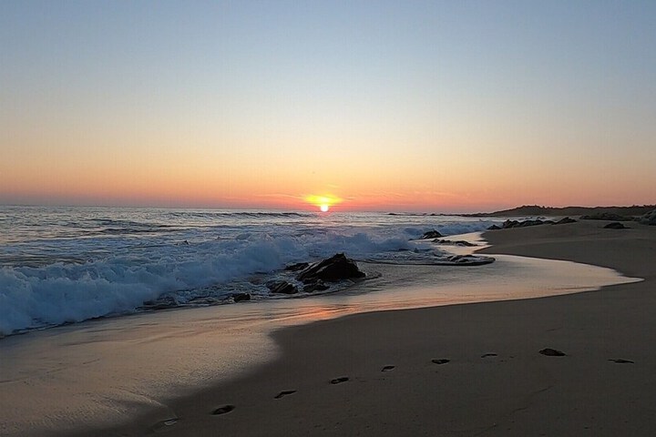Beach 101 of 229