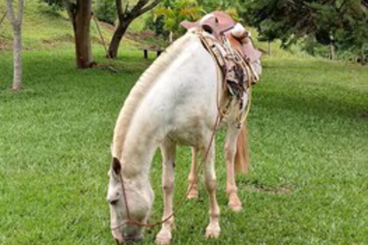 Sítio Santa Clara