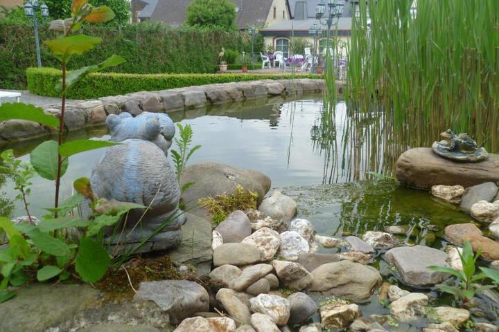 Spa and Wellness Pictures