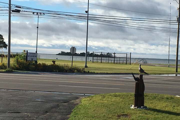 Hotel View 155 of 173