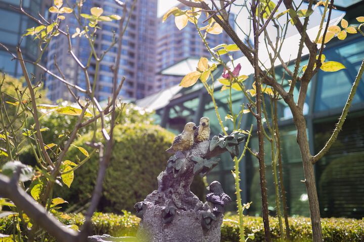Property amenity