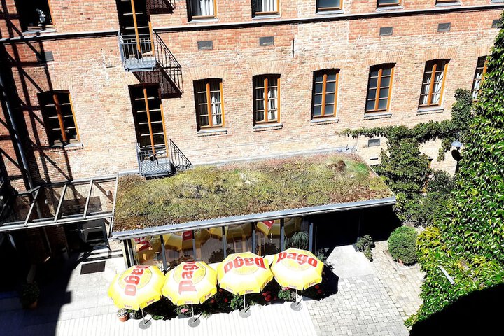 View from room