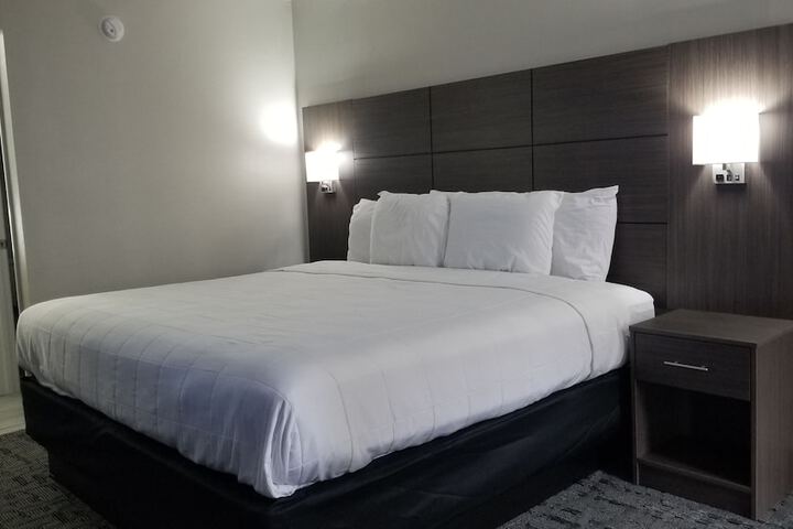 1 King Bed (7 of 11)