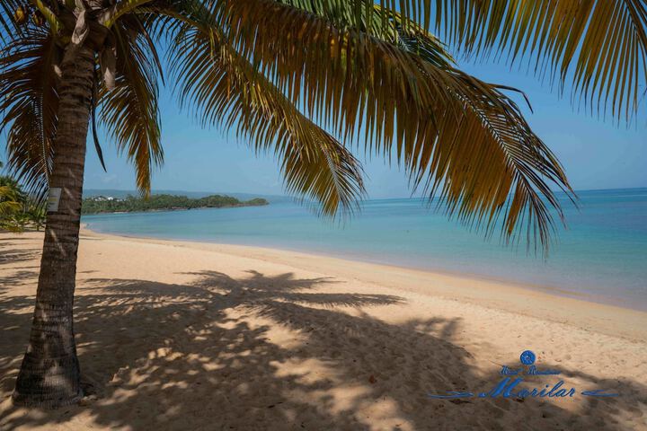 Beach 40 of 55