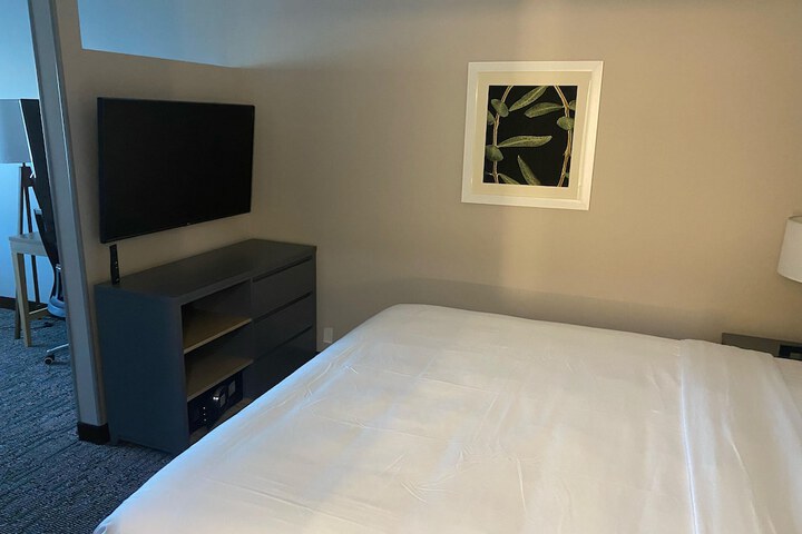 1 King Bed Accessible (2 of 20)
