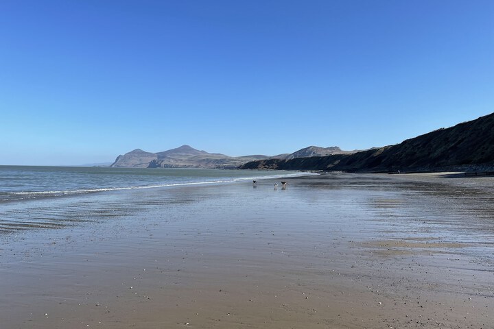 Beach 21 of 23
