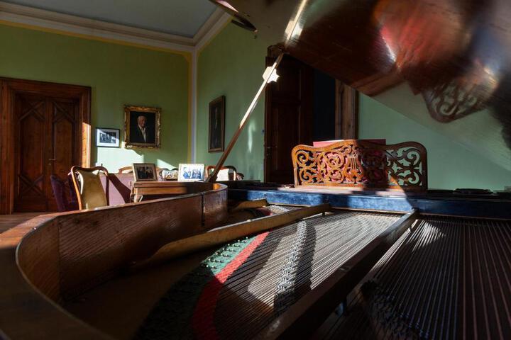Photo 7