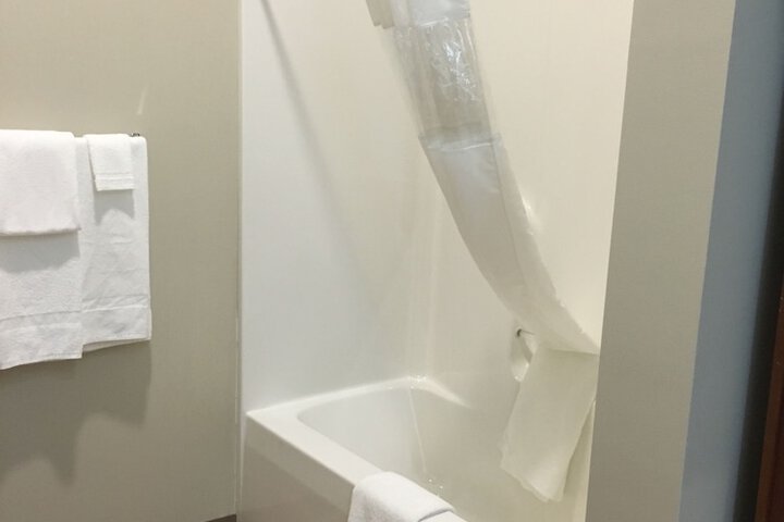 Bathroom Interior Photo