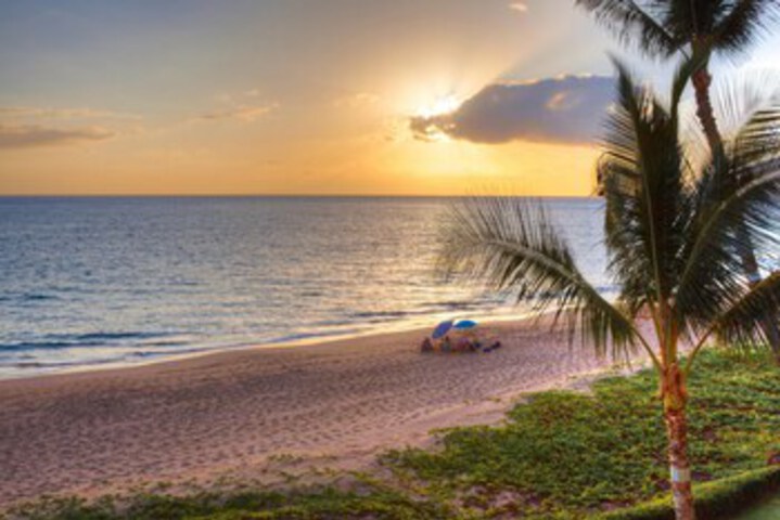 Beach 19 of 102