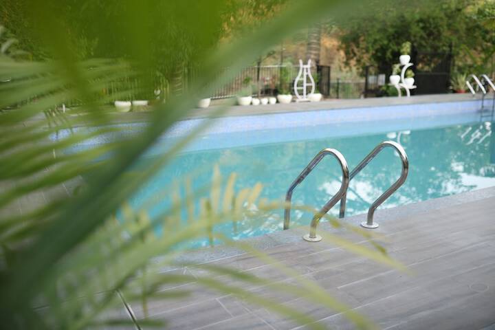 Pool 8 of 15