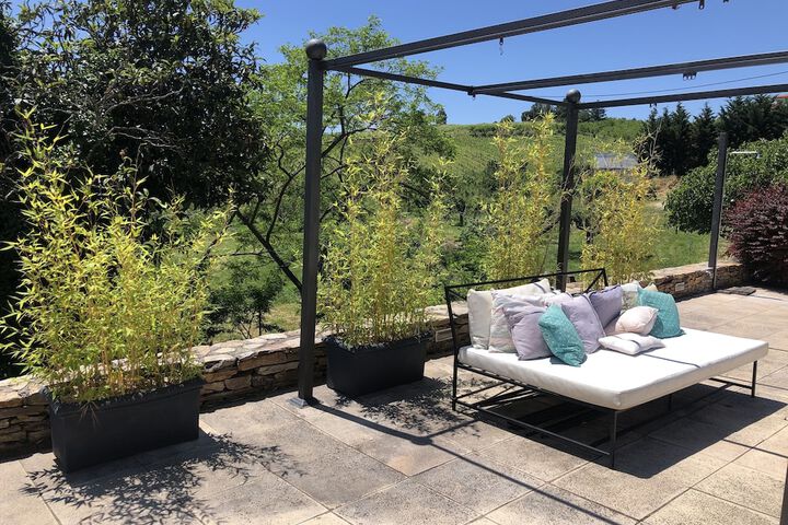 Sundeck 34 of 35