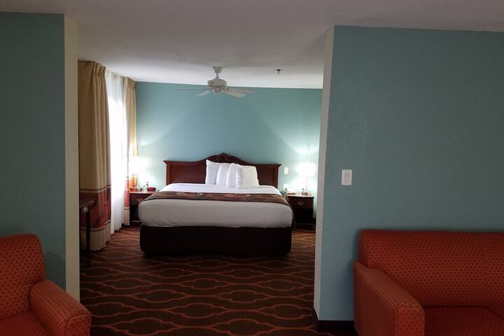 1 King Bed (33 of 45)