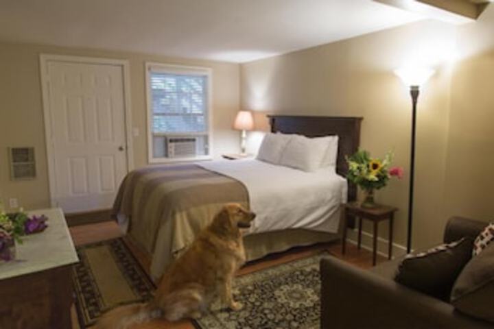 Room 7 of 297