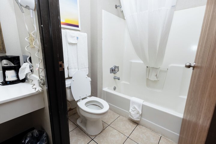 1 King Bed Accessible (2 of 19)