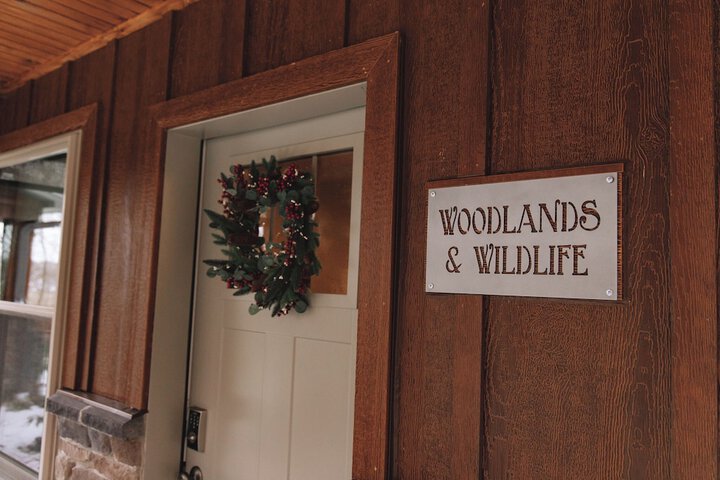 Terrace/Patio 223 of 345