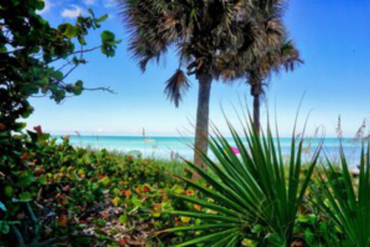 Beach 6 of 81