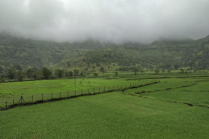 Touchwood Bliss