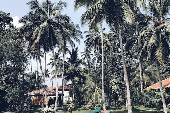 Pools & Facilities